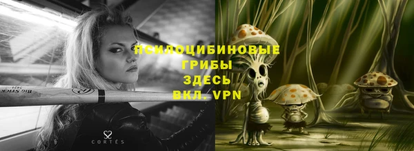 герыч Бородино