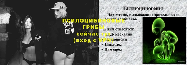 спиды Бронницы