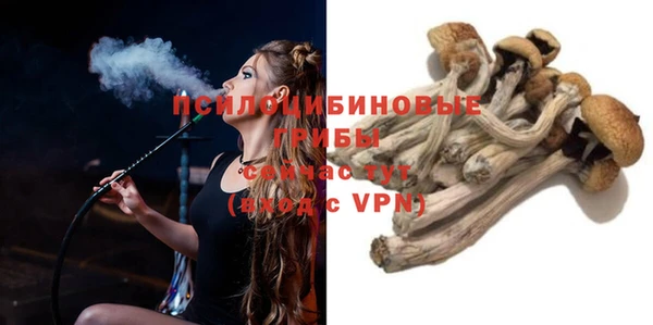 молекула духа Бугульма