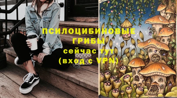 молекула духа Бугульма