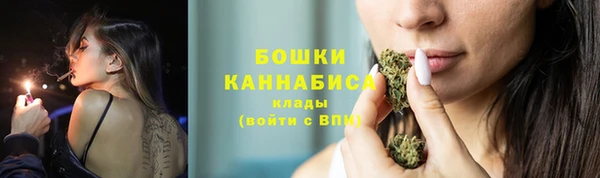 молекула духа Бугульма