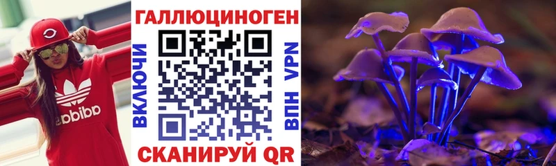Псилоцибиновые грибы Psilocybe  наркошоп  Рыбинск 